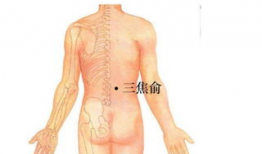 拔罐减肥的位置图视频教程,穴位定位与操作步骤详解