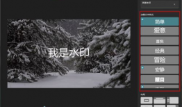 视频加水印,技术解析与创意应用