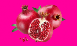 石榴视频,探索视觉盛宴，尽享精彩瞬间